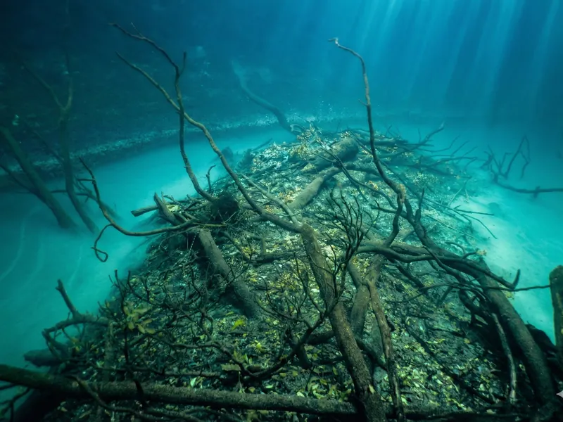 Angelita Cenote hydrogen sulfide cloud during a guided cavern diving in Tulum