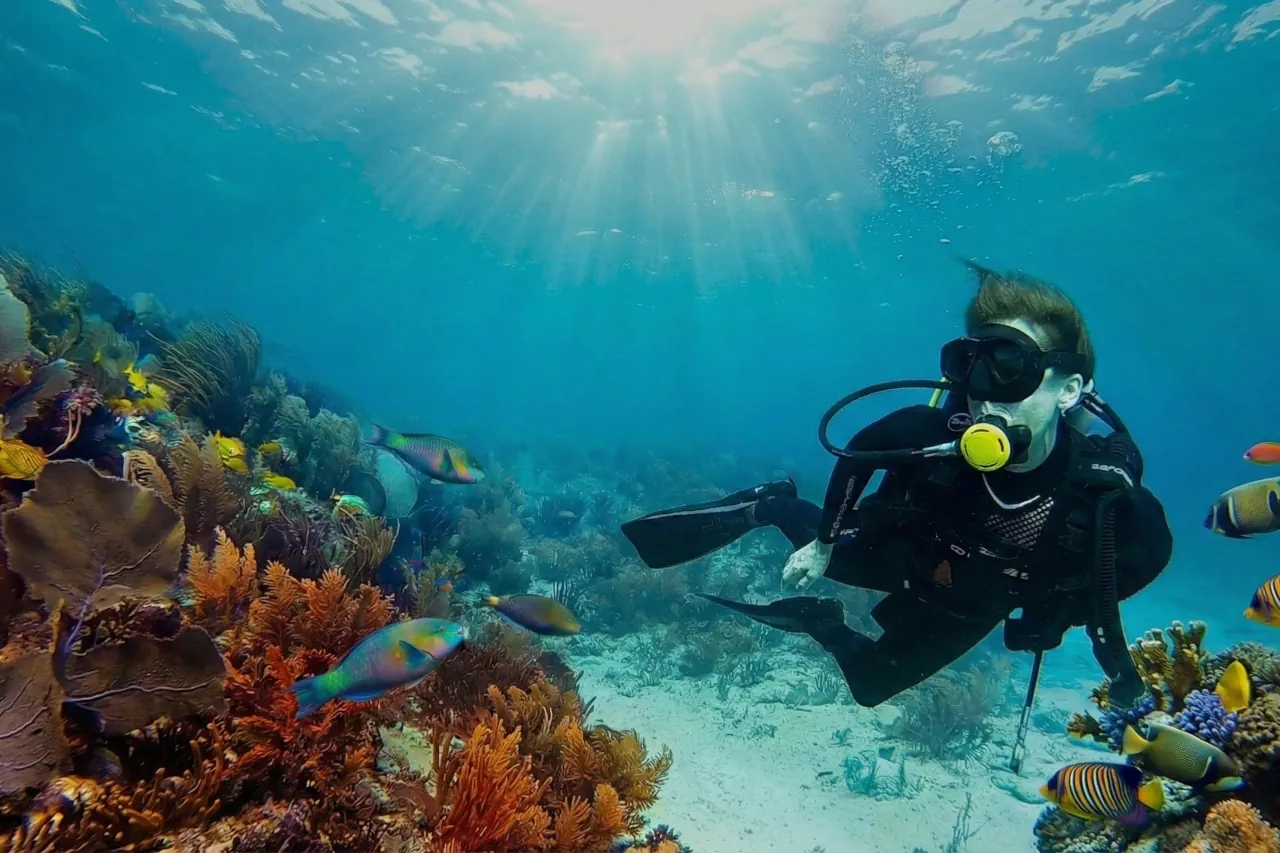 Cozumel reef diving day trip from Tulum