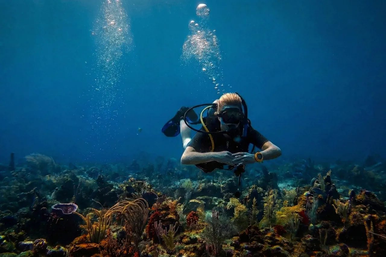 Reef diving in Tulum on the Mesoamerican Barrier Reef