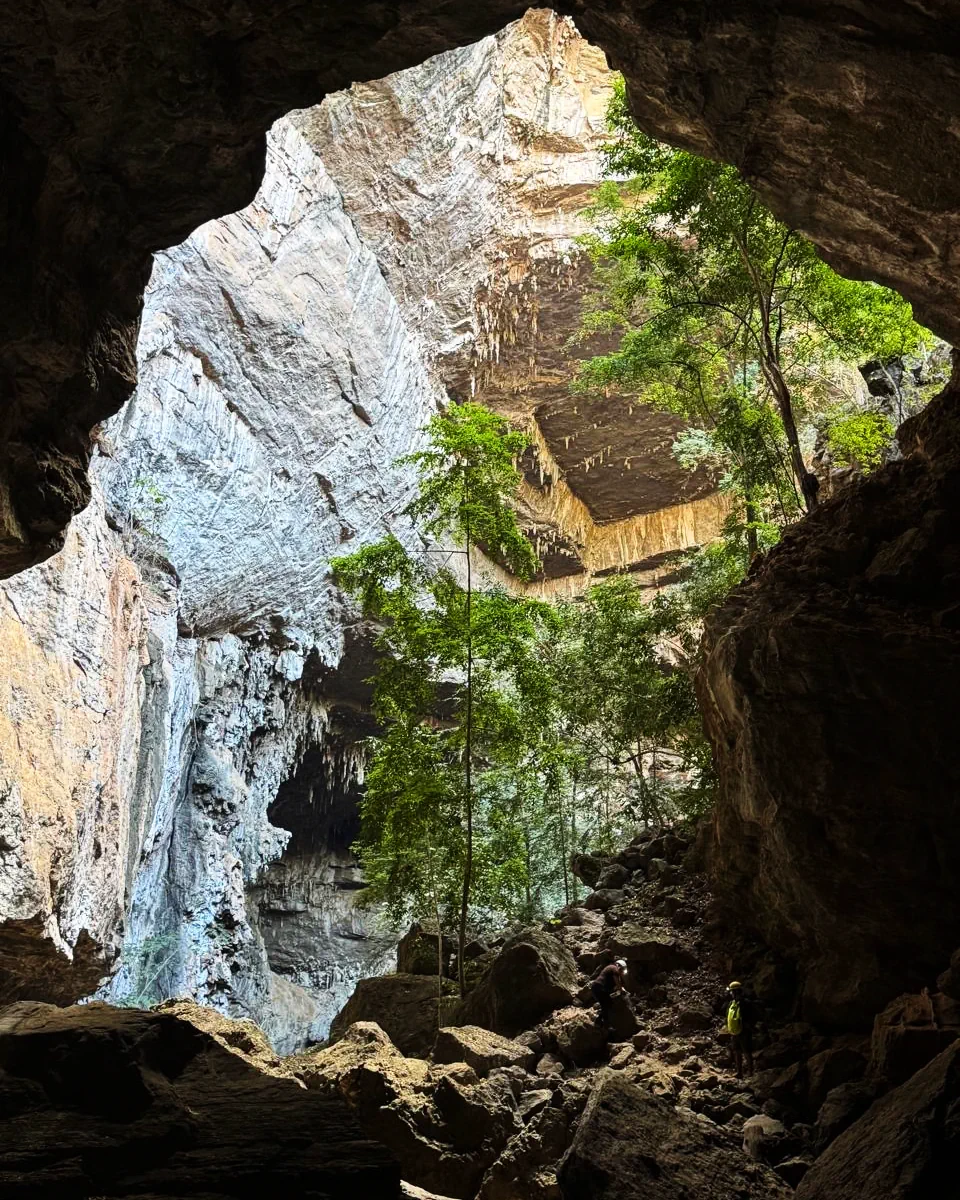 Flooded sinkhole chamber with exceptional visibility.
