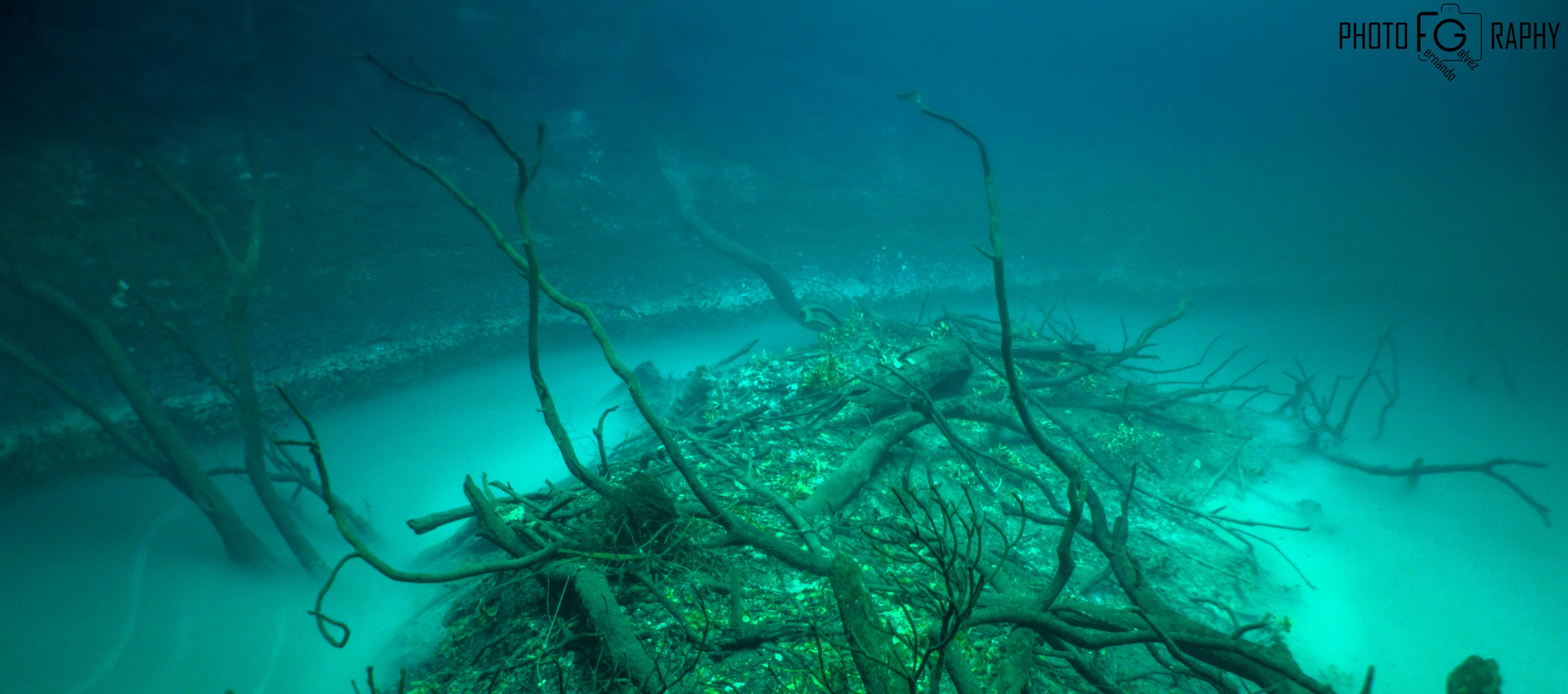 Angelita Header - Scuba Diving in Tulum